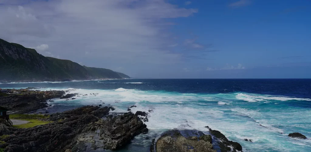 RPA z Kalahari Wyprawy